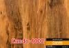 Sàn gỗ CANDO 4001 --> 4008 - anh 2