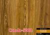 Sàn gỗ CANDO 5001-->5008 - anh 2